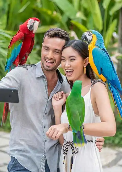 Bali Bird Park