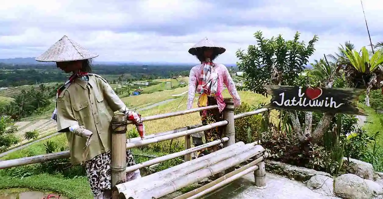 oJ[`[^[\񂷂